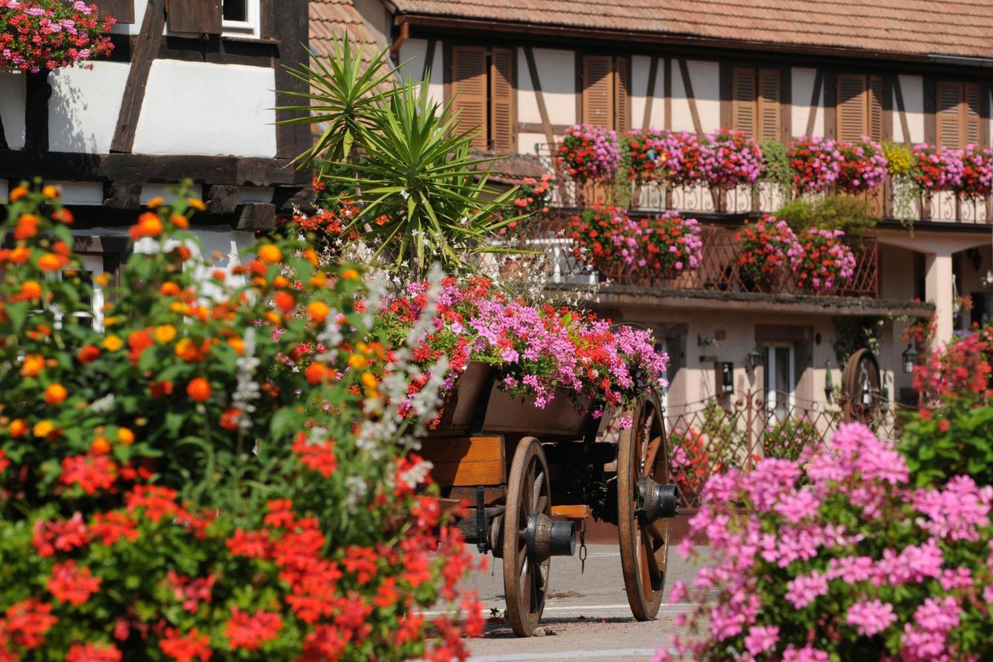 Gite Marcel Et Marianne Jardin Et Parking Privatifs Ebersheim Exteriör bild